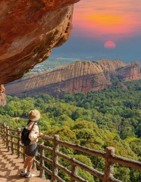 弋阳这片红杉林已上线“顶配冬日皮肤”，暖到心坎里！