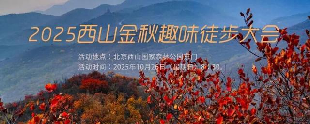 接下来的北京，比你想象中的还要美
