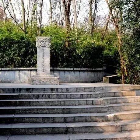 官宣！2026年南京43个景区免费开放日！