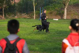 走进警犬基地和“汪星战士”交朋友图片