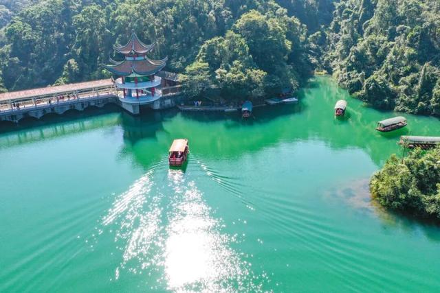 星湖秋冬推介会亮相！深圳、香港市民纷纷点赞