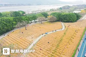 赏福麦、换鸡蛋 ……福州花海公园这一幕幕，温暖老人心！图片