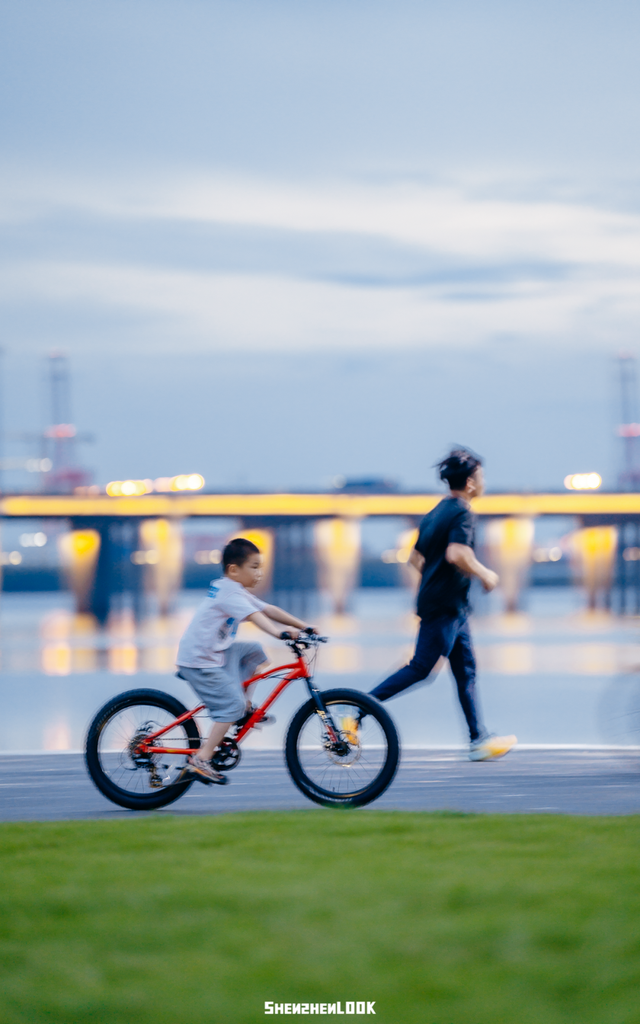 “看牛看海看夜景，深圳骑行路线精选”