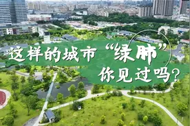 世界水日·中国水周 | 这样的城市“绿肺”，你见过吗？图片