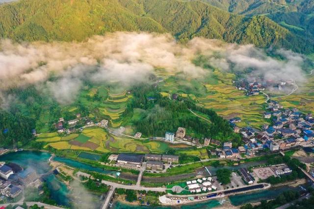 高清壁纸丨苗寨梯田“丰”景美