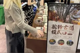 模式口历史文化街区茶文化亮相2025世界茶博会图片