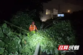 狂风骤雨袭高速 干杉养护迅疾清障保畅通图片