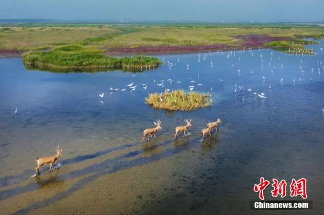 青春华章丨人这一辈子，一定要赴一场江苏的江河湖海之约！