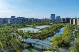 夏日雄安，邂逅生态公园的自然之美图片