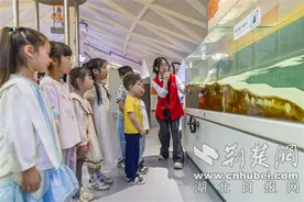 襄阳市三原幼儿园开展防震减灾科普研学活动图片
