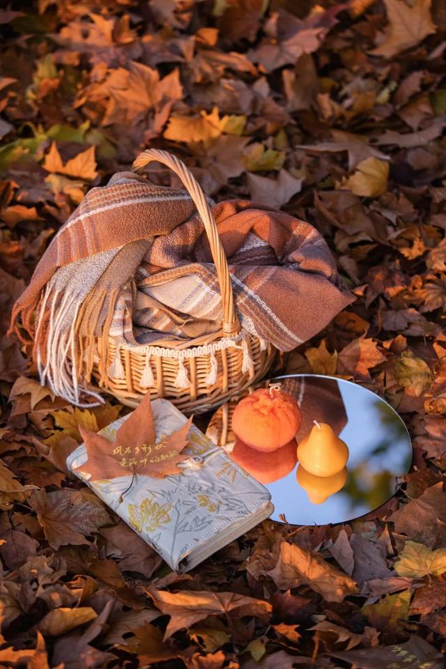 物色拾秋集 | 11.21-11.23国创园市集首周全攻略