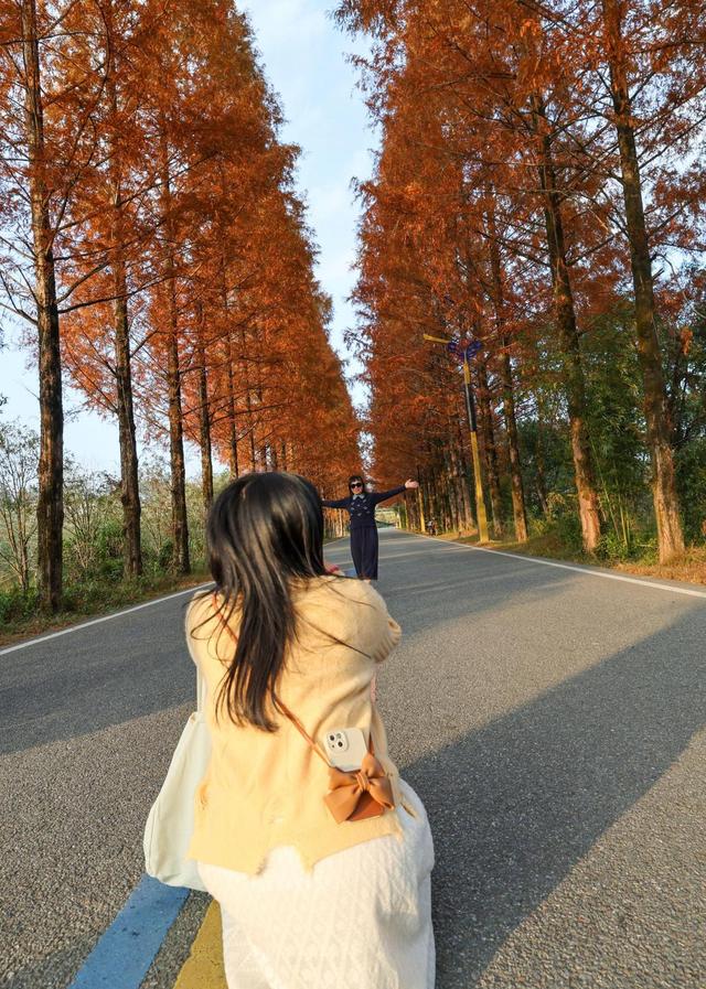 福建：游人乐享武夷冬韵