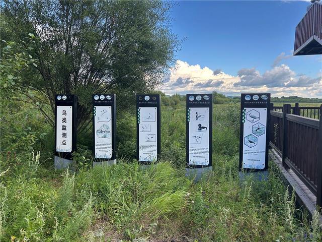 生态资源的“绿色变现”