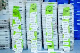 美重要“战场州”，大规模选民登记欺诈图片