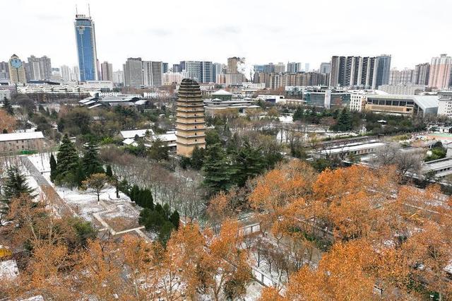 小雁塔雪落成诗 静谧如画