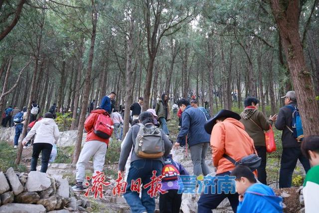 一年四季 泉在济南丨济南蝎子山秋色“美出圈”！半山红妆半山青翠，独特“鸳鸯火锅”景观引客来