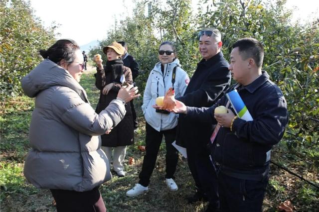 “威海是一座宝藏城市”18位海外华文媒体大咖聚焦精致威海