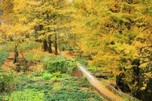 中国国家地理推介！宣城这里，将迎最美时刻！