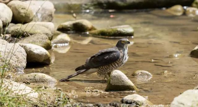 无锡最新追“星”指南，速收藏！