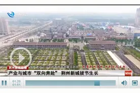 产业与城市“双向奔赴” 荆州新城拔节生长图片