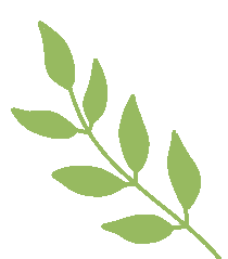 谁懂啊！南宁这些周末打卡地也太好逛了，解锁N种惬意玩法