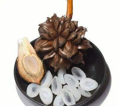 东寨港红树林研学进行时，自然课堂里的欢乐时光～