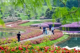 南宁多彩活动点燃“五一”假期精彩！图片