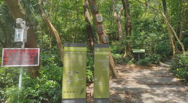 绿美云山丨以森林入药 漫享云山身心疗愈