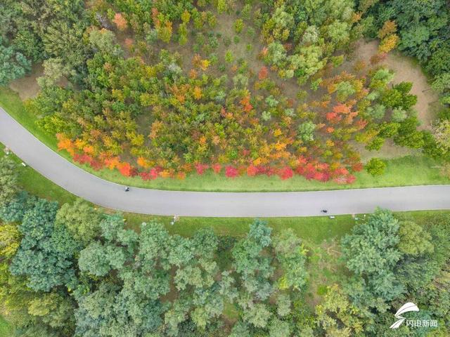 潍坊经济开发区：一场与色彩的浪漫邂逅