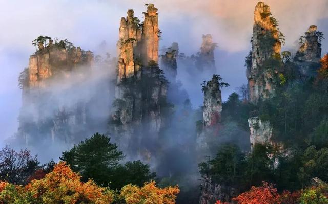 张家界国家森林公园畅游年卡来啦！还有10万现金等你来抽奖哦！