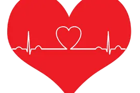 明起，持这种证免费乘坐公共交通更加便捷啦！图片