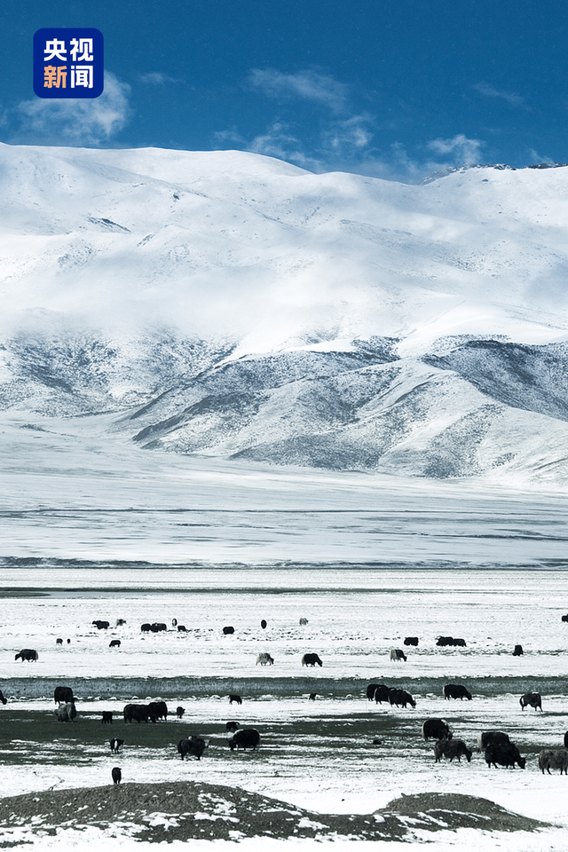 通了！穿越天山 此生必驾