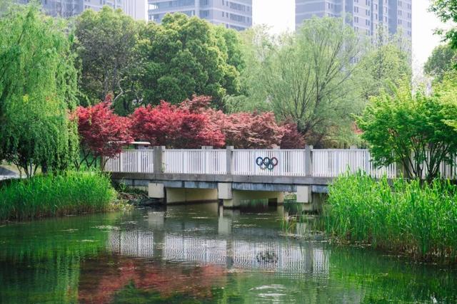 在运河畔，把初夏走了个遍！