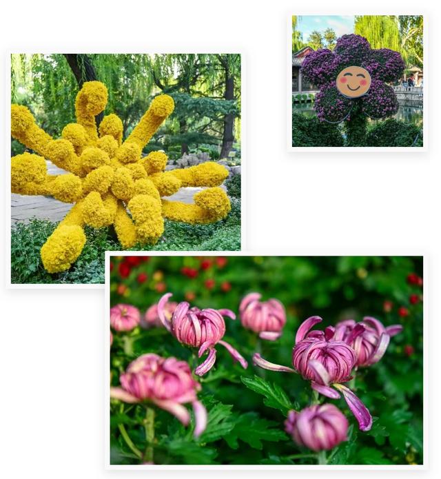 走，去趵突泉！收集秋天最靓的九宫格～