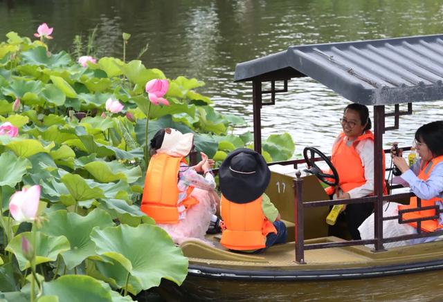 拥抱一段“夏凉菌香”的美好旅程