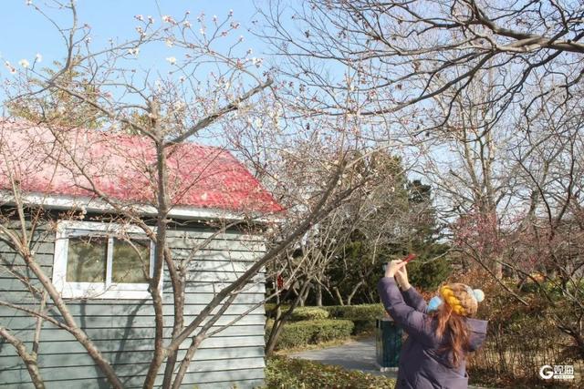 开了！开了！就在中山公园，不少人为她赶来，预计马上爆满……