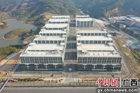 南宁上林县特色产业园竣工 吸引优质企业入驻图片