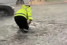 暴雨中，这个踉跄的背影感动全网……图片