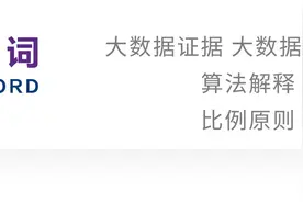 孟醒｜多元大数据应用类型下的证据证明问题及其应对图片