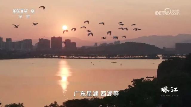 跟着《珠江》游增城！纪录片里的这些地方，一定要打卡