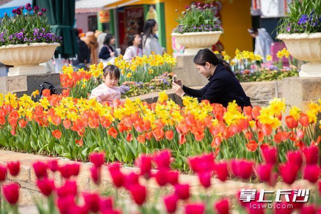 咬春，赏花，玩国风！长沙世界之窗花神季承包你的三月美好