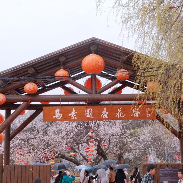 免费门票&定制游玩路线!这个周末跑一场有故事的马拉松