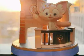 游客称购物后遭“便衣安保”拦住检查，无奈翻包自证清白，上海迪士尼回应图片