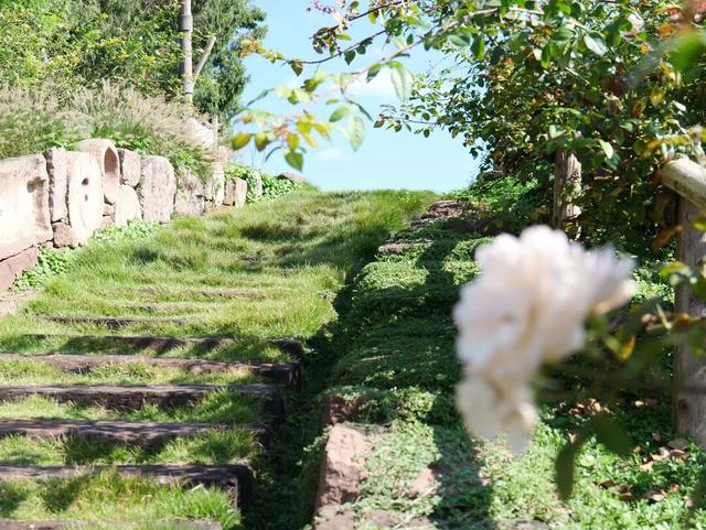 简阳AAA级林盘景区+1！