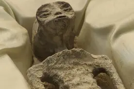 墨西哥记者展示疑似“外星生物遗骸”，研究机构：需要更多证据图片