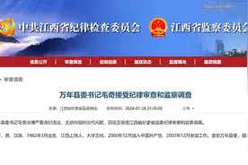 李佩霞父亲接受新黄河采访：在外省与上饶市委联合调查组会面，被举报县委书记当晚落马图片