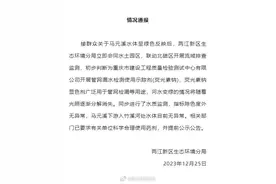 “一公园管道排出不明液体致溪水变绿”，重庆官方通报初步判断图片
