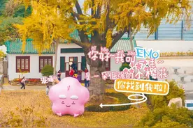 武汉多处爆红，汉阳街头也有啦图片