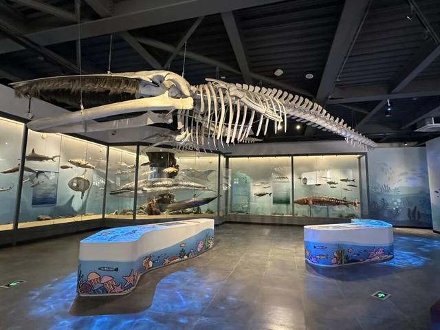 中国第一座公共博物馆120周年！系列重磅活动开启！