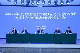 2025年，湖北知识产权工作重点聚焦七个方面图片